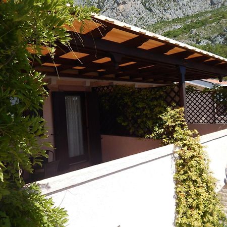 Apartmani Zona Sveti Stefan Ngoại thất bức ảnh