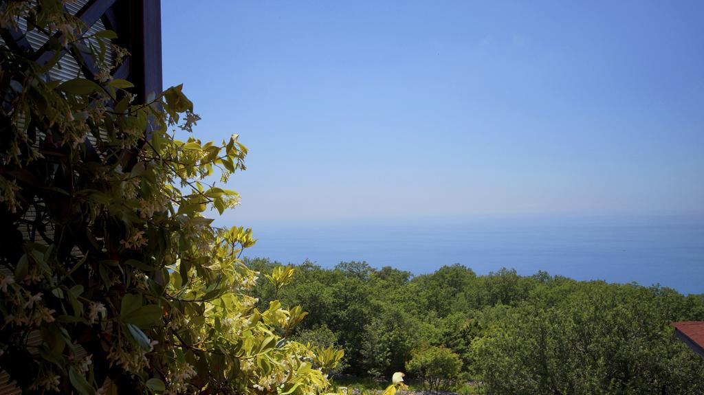 Apartmani Zona Sveti Stefan Ngoại thất bức ảnh